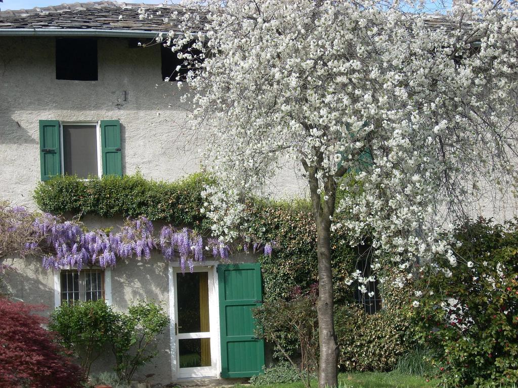 B&B L'Isola Piantedo Dış mekan fotoğraf